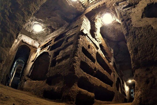 Private Shore Excursion from Civitavecchia Rome Port to Rome City - Palatine Hill: legend on top, tickets for entry