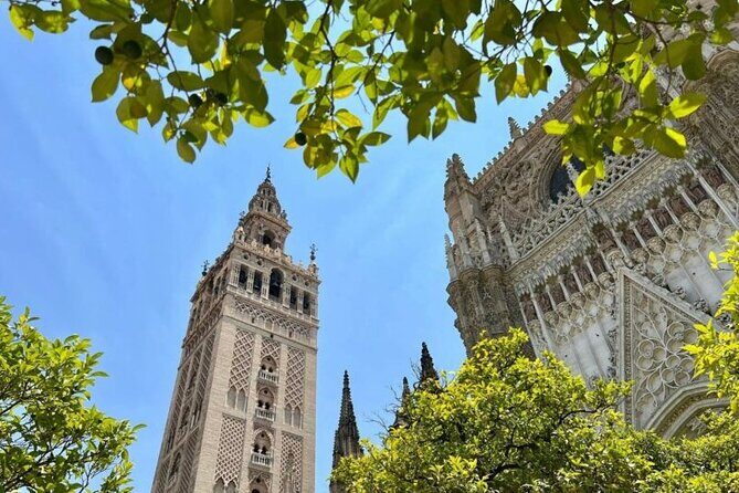 Private Tour Alcazar Seville Cathedral and Giralda Tower Climb - Guides make or break it: what you can expect from the people running it