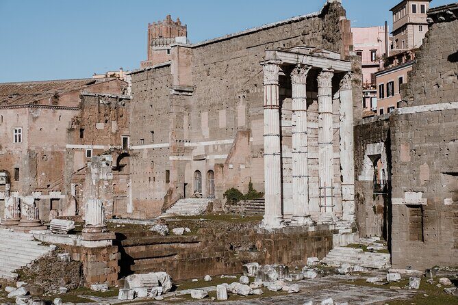 Private Tour Colosseum, Palatine Hill & Roman Forum - Roman Forum: the civic heart you can actually picture