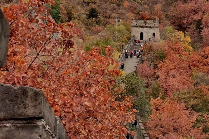Private Tour: Forbidden City and Mutianyu Great Wall with Cable Car or Toboggan - VIP Forbidden City and Mutianyu: Why this tour feels efficient