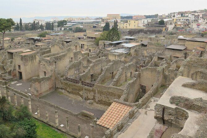 Private Tour of Pompeii, Herculaneum and Vesuvius from Naples - Door-to-Door Pickup in Naples: Flexibility Without the Chaos