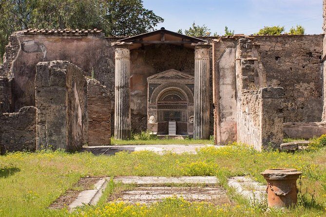 Private Tour of Pompeii with official tour guide and skip the line tickets - Private Pompeii Tour With Official Guide and Skip-the-Line Tickets