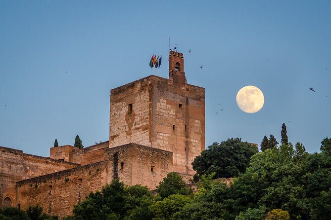 Private tour of the Alhambra entrances included - Key highlights to look for in your Alhambra morning