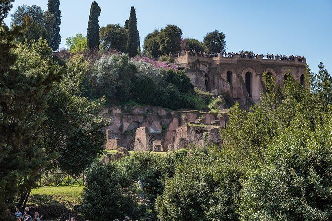 Private Tour of the Colosseum with Roman Forum & Palatine Hill - Why the price makes sense: ticket fees plus guide time