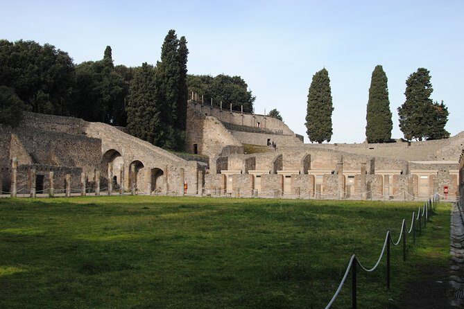 Private tour Pompeii Vesuvius and Winery from Sorrento - Should you book the Private tour Pompeii Vesuvius and Winery from Sorrento?