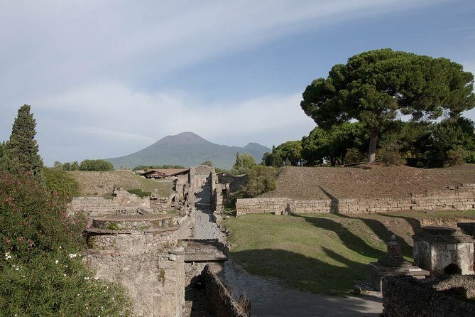 Private tour Pompeii Vesuvius and Winery from Sorrento - Vesuvius National Park: crater-rim views with a real walking timeline