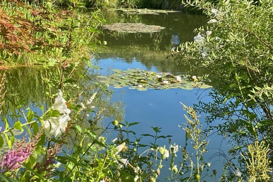 Private Trip Giverny Versailles Trianon from Paris - The drive to Versailles: how your guide turns travel time into setup time