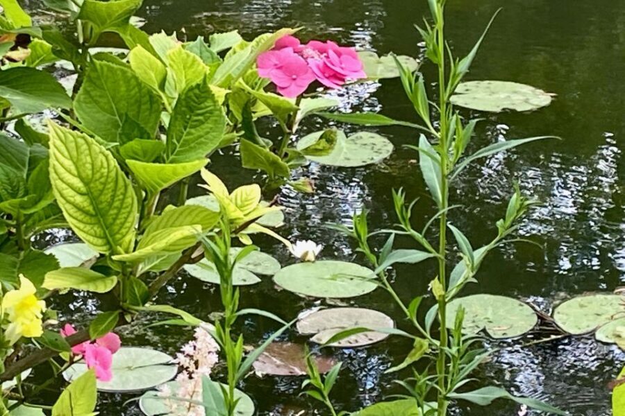 Private Trip Giverny Versailles Trianon from Paris - Big Trianon and Small Trianon: the story shifts from power to escape