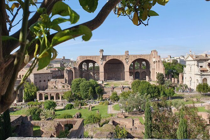 Roman Forum and Palatine Hill Access - Getting In: Via del Colosseo Start and Colosseum Metro Pickup