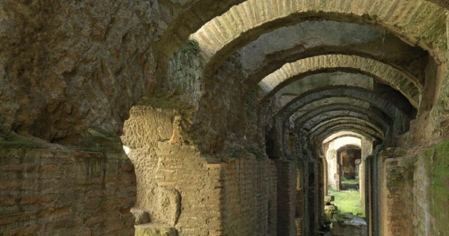 Rome: Ancient History and Colosseum Underground Tour - Underground chambers: cages, corridors, and how the spectacle worked