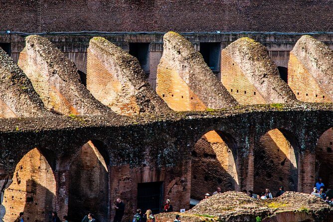 Rome Colosseum Ancient Rome Exclusive Private Guided Tour - What the licensed English guide brings (and why private matters)