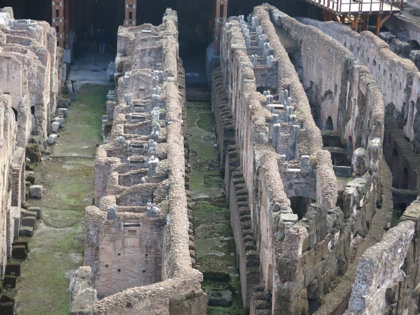 Rome: Colosseum Arena Floor, Roman Forum & Palatine Tour - Key Points You’ll Care About
