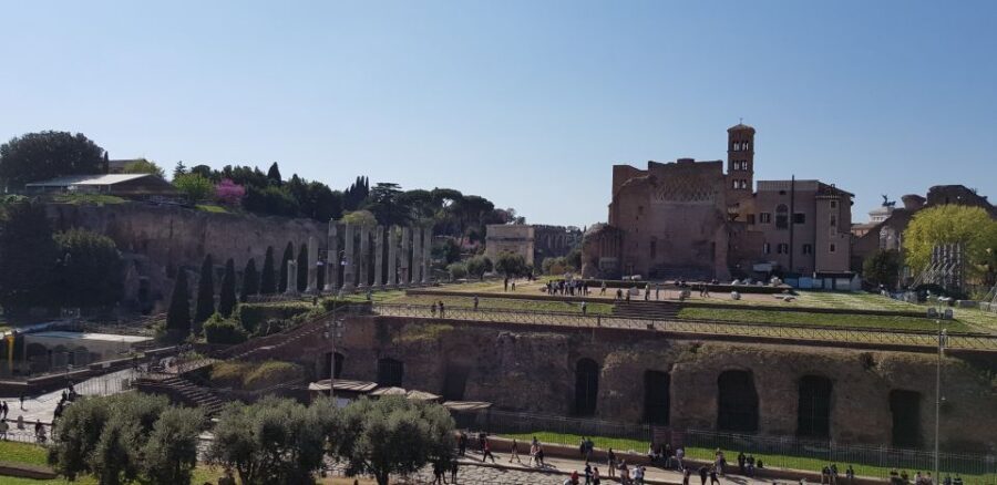 Rome: Colosseum Arena, Forum & Palatine Hill Private tour - Key things to know before you go
