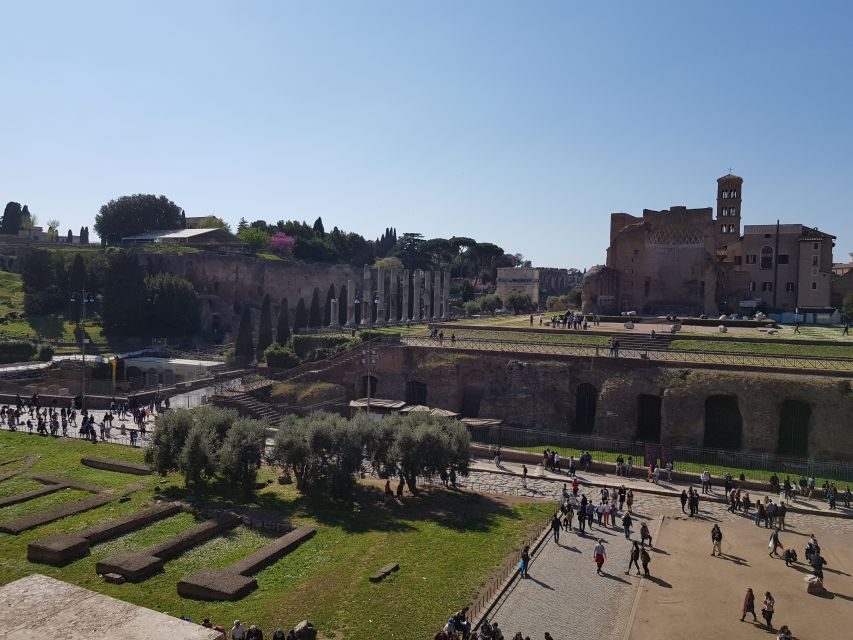 Rome: Colosseum Arena, Forum & Palatine Hill Private tour - The Private Guide Advantage (and What Giuseppe Brings to the Table)