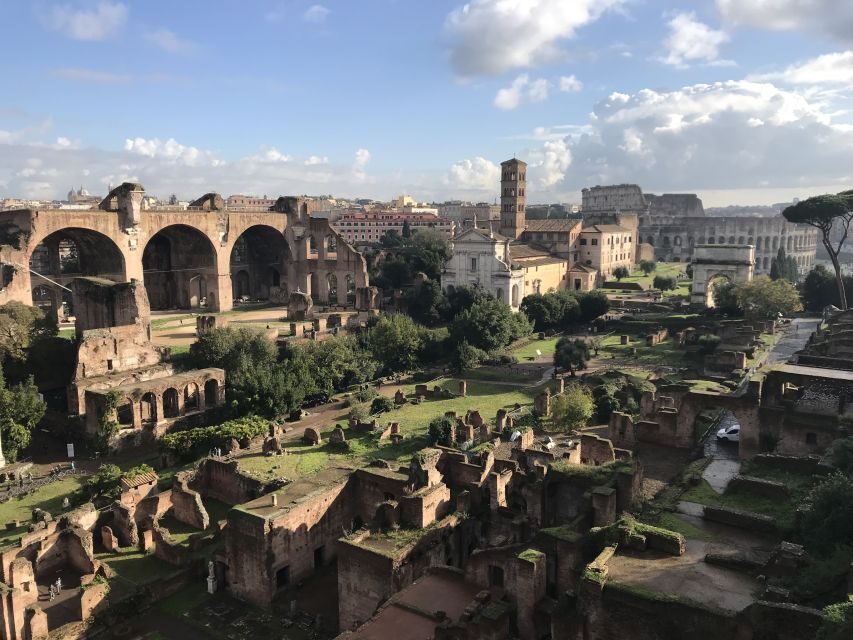 Rome: Colosseum, Forum, and Palatine Hill Guided Tour - Roman Forum: the government core, not just a pile of ruins