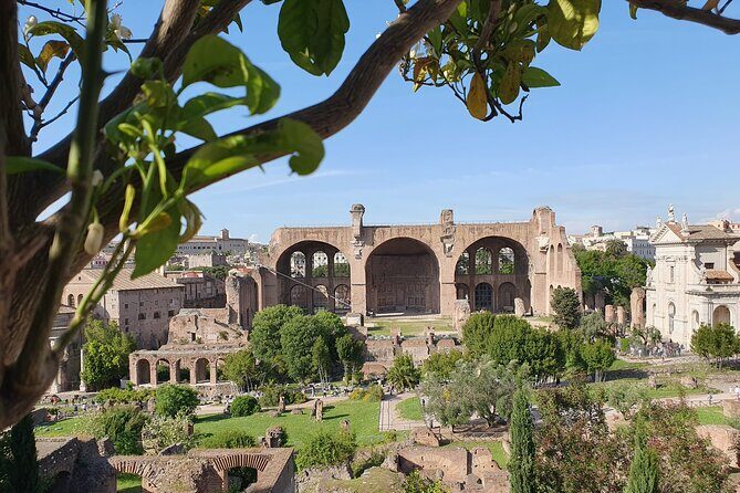 Rome: Colosseum, Roman Forum & Palatine Hill Experience - Value for about $37: tickets plus a guide where it counts