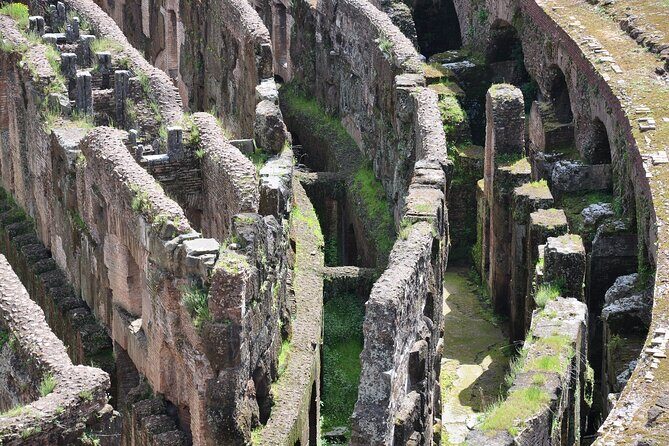 Rome: Colosseum Underground Full Experience Tour - Group Size, Pace, And What To Expect Inside A Packed Colosseum
