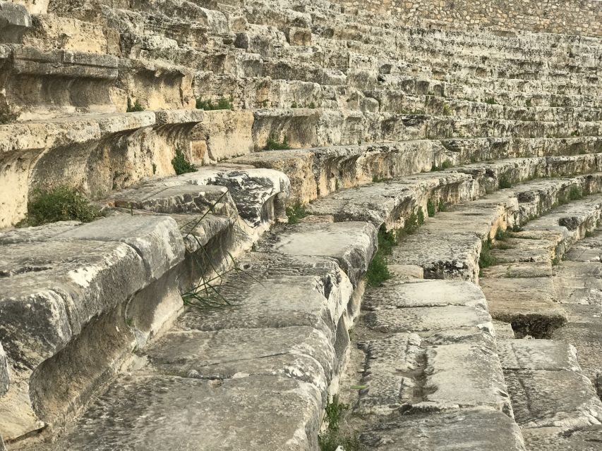 Rome: Explore the Colosseum and Roman Forum, Half-Day Tour - Price and value: what you’re paying for