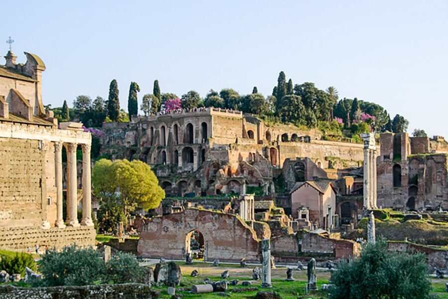 Rome: Guided Tour of Colosseum, Roman Forum & Palatine Hill - Entering the Colosseum: security, ID names, and what this ticket includes