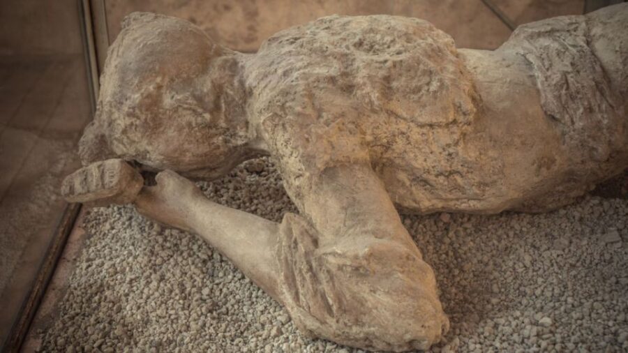 Rome: Pompeii Tour with Wine and Lunch by High Speed Train - Why This Pompeii Day Trip Feels Less Like a Bus Day