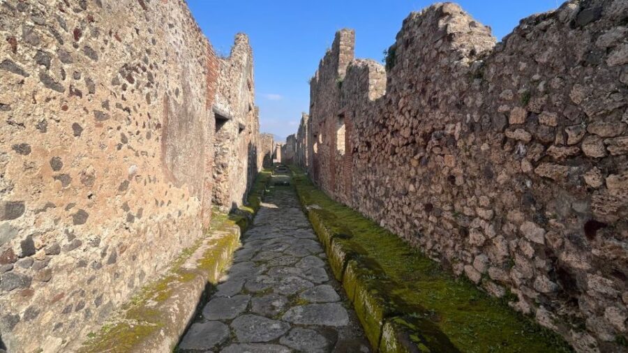 Rome: Pompeii Tour with Wine and Lunch by High Speed Train - What to Pack and How to Prepare