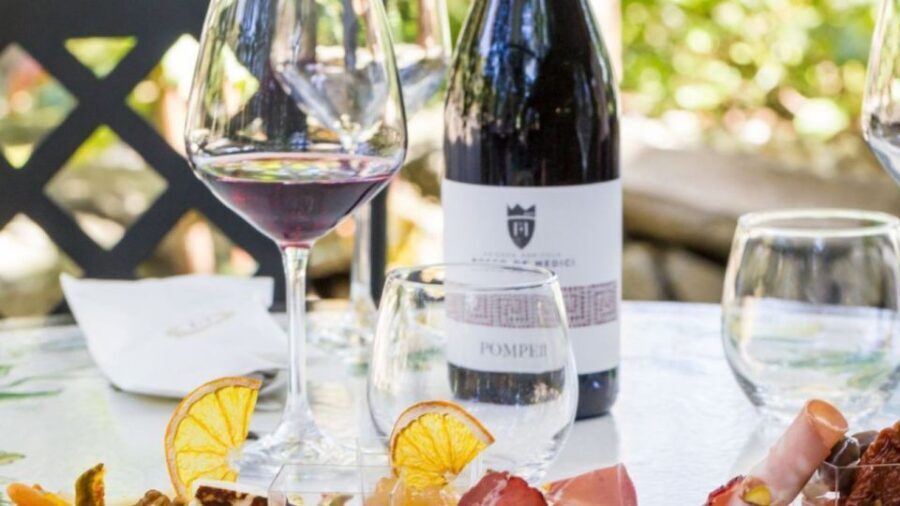 Rome: Pompeii Tour with Wine and Lunch by High Speed Train - What I’d Highlight: Train, Guide, and Wine-Lunch Time