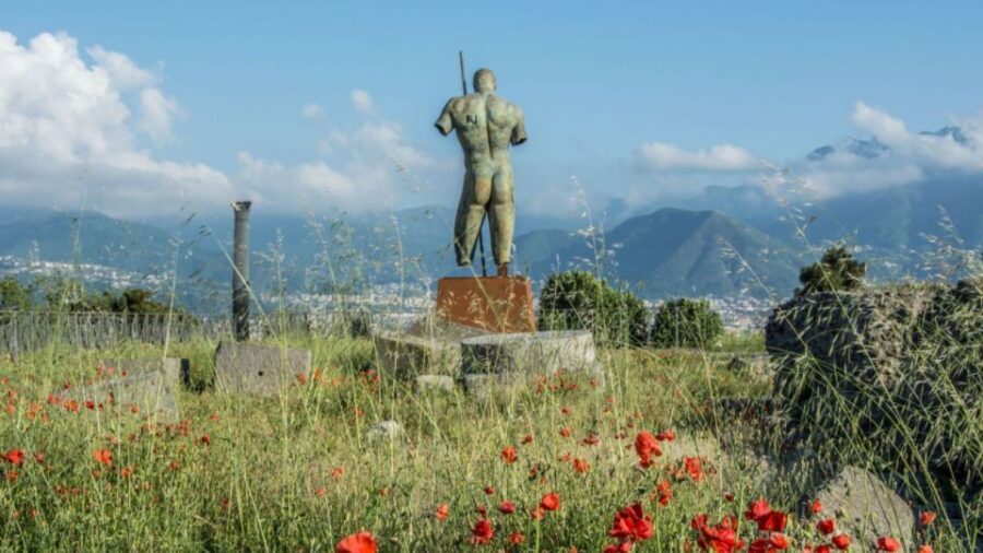 Rome: Pompeii Tour with Wine and Lunch by High Speed Train - Pompeii On Foot: The Part That Matters Most