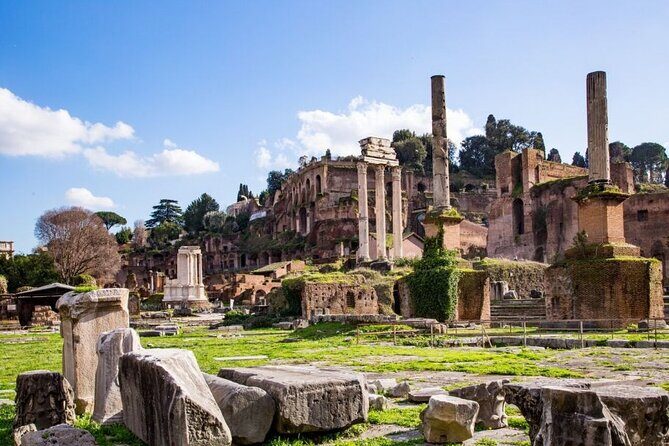 Rome: Private Colosseum Arena Floor with Forum & Palatine - Panoramas from Palatine Hill: the payoff most people miss