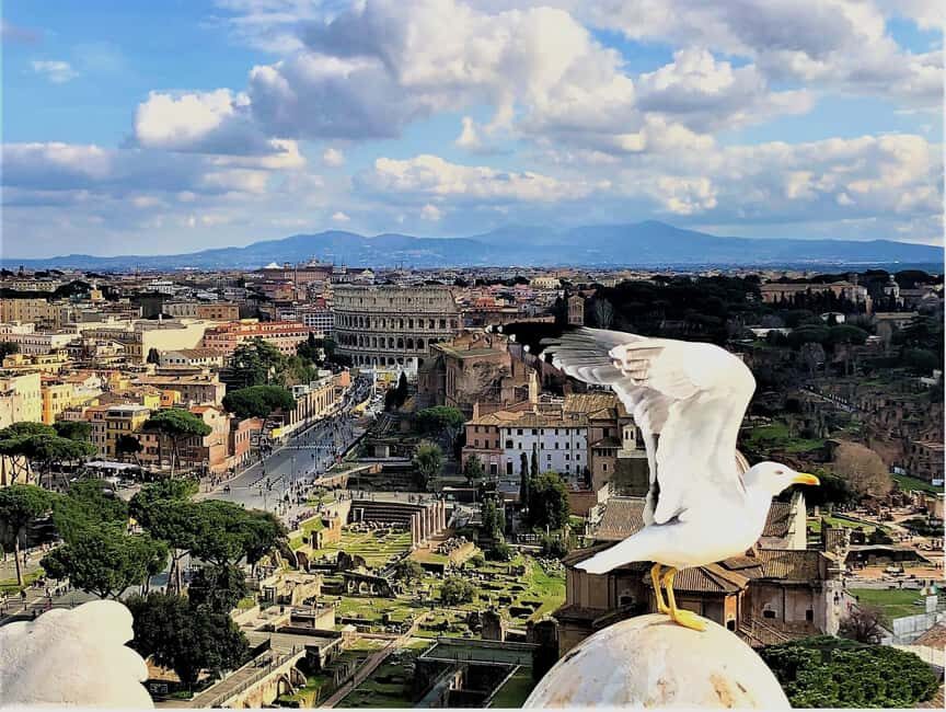 Rome: Vatican, Colosseum & Main Squares Tour w/ Lunch & Car - Roman Forum photo stops that make 3,000 years make sense