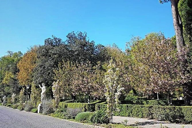 Rome: Vatican Museums and Gardens Private Tour - Pick up included - Practical tips: dress code, walking pace, and what to watch for