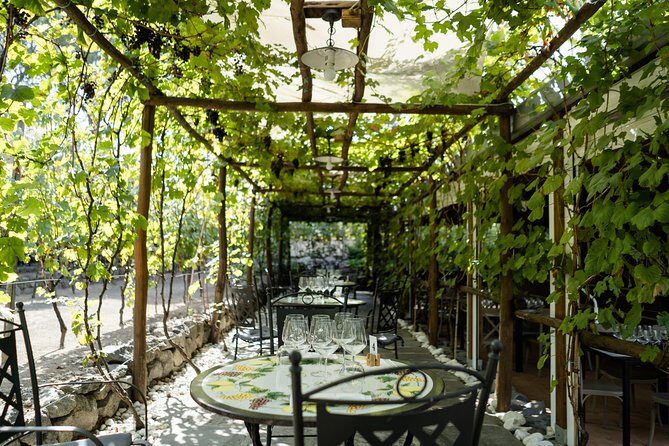 Seafood Lunch & Wine Tasting with Scenic Golf Cart Tour - Wine Tasting That Actually Pair-Connects