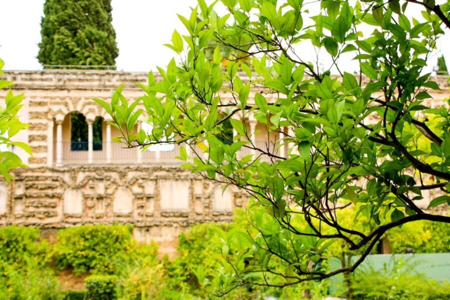 Seville: Alcazar Skip-the-Line Guided Tour with Tickets - Headsets, French guide, and audio you can actually use