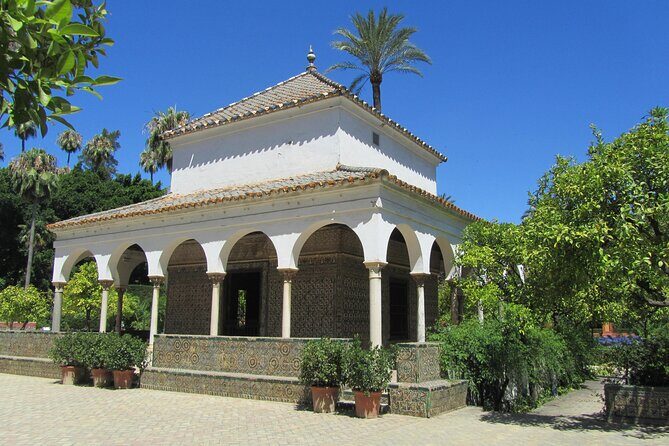 Seville Alcazar Tour - Meeting at Plaza del Triunfo and getting started smoothly