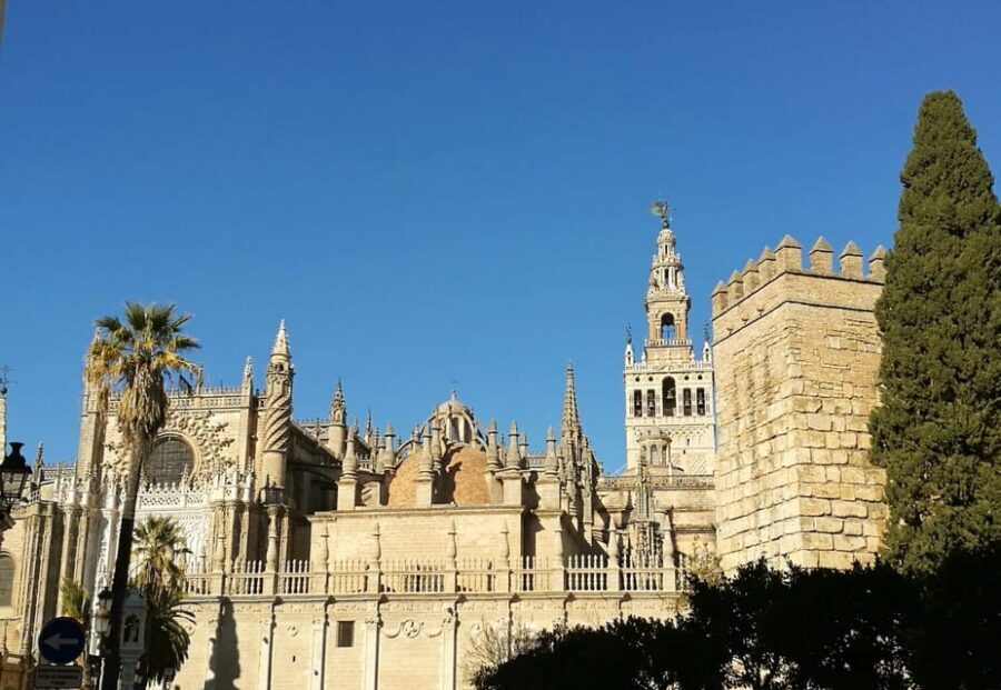 Seville: Cathedral & Alcázar Guided Tour with River Cruise - Guadalquivir River Cruise: Panoramic Views With Mixed Comfort