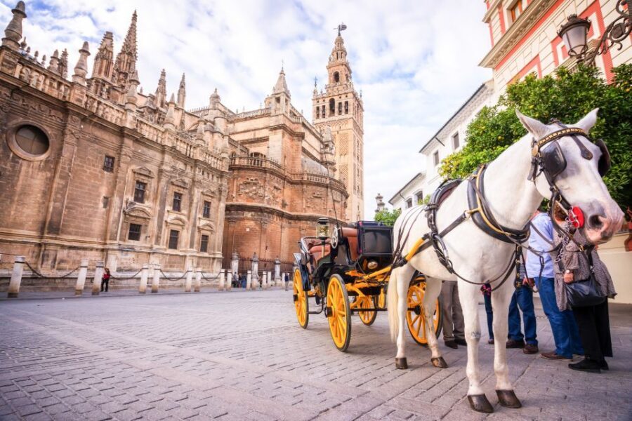Seville: Cathedral and Alcázar Guided Tour - Start at Plaza del Triunfo, then move into the monuments