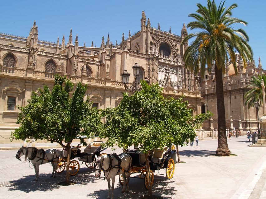 Seville: Cathedral, Giralda, and Alcazar Guided Tour - Price and value: is $66 per person fair for three big monuments?