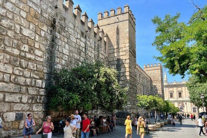 Seville Private Tour with Alcazar, Cathedral, Casa de Pilatos - Price and Value: What $464.65 Buys on a Private Day