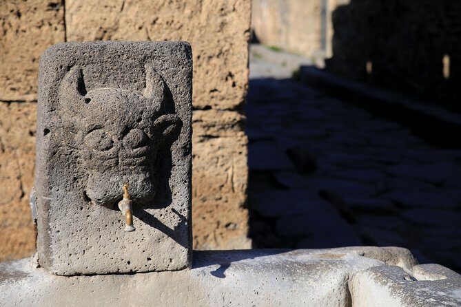 Skip-the-Line Half-Day Private Tour Ancient Pompeii Highlights with Native Guide - Meet the Guide and Get Oriented Fast