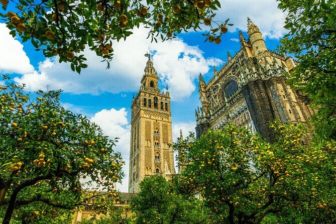 Skip the Line Seville Alcázar, Cathedral & Giralda Guided Tour - Giralda tower ramps: the best views without a steep fight