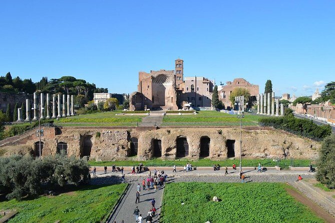 Small Group Colosseum, Roman Forum and Palatine Hill Guided Tour - Stop 3: Palatine Hill, Augustus’ Seat, and the Best City Views