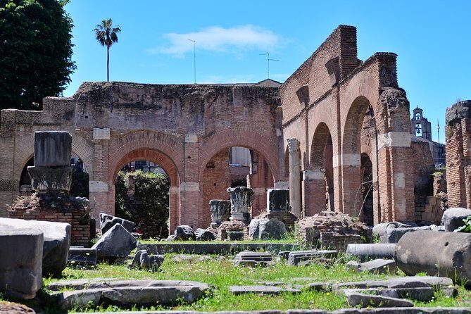 Small Group Colosseum, Roman Forum & Palatine Hill Tour - Stop 3: Palatine Hill—imperial homes and Rome’s origin legend