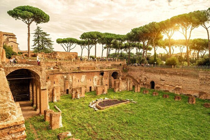 Small-Group Colosseum Tour with Roman Forum & Palatine Hill - Roman Forum streets: temples, Caesar, and how to read ruins