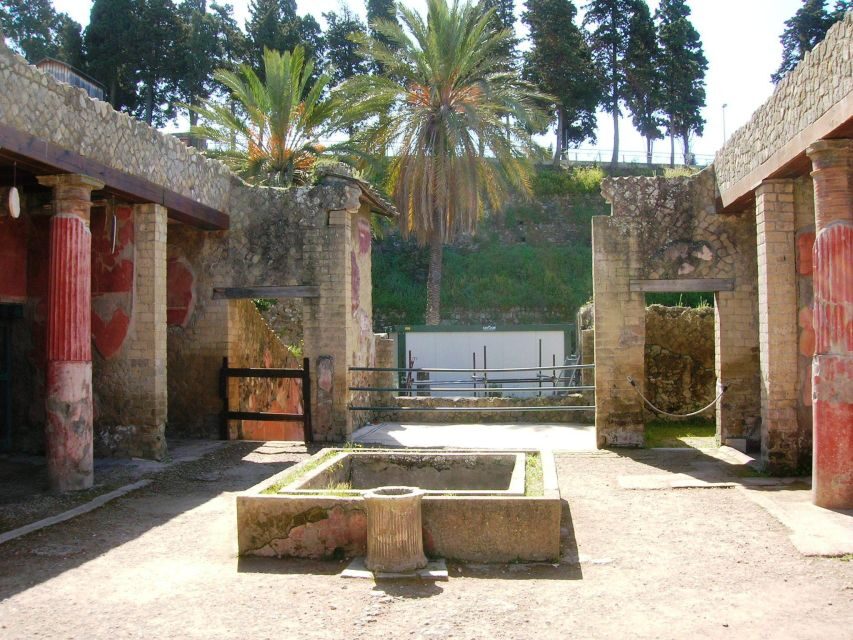 Sorrento: Pompeii & Herculaneum Day Trip Entry and Lunch - Key Things to Know Before You Go