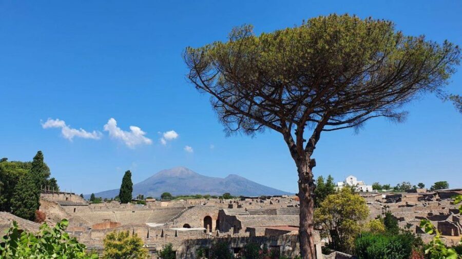 Sorrento: Skip-the-Line Pompeii Express Tour by Train - Entering Pompeii With Skip-the-Line Tickets