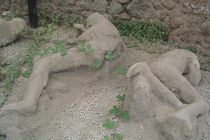 Tour of Mt. Vesuvius+Sorrento+Pompeii (Full Day) - Should you book this tour?