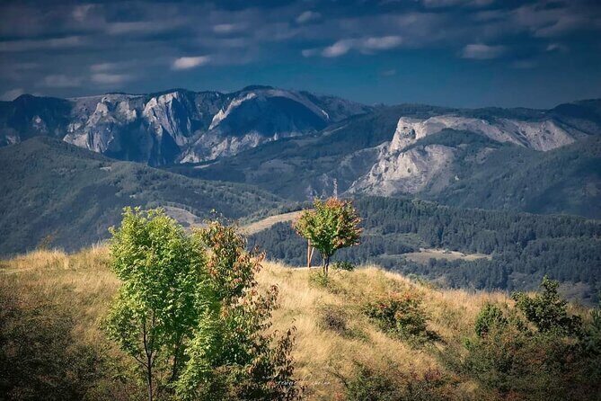 Transfer Bucharest -Brasov with Targoviste and Bran Castle visits - Price and Logistics: Does $190.81 Per Person Feel Worth It?