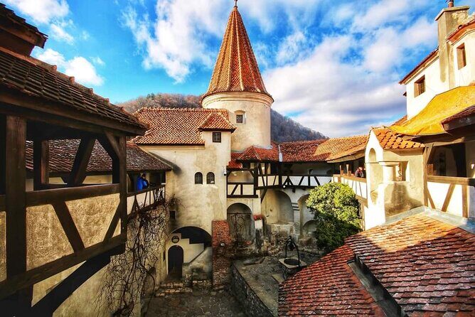 Transfer Bucharest -Brasov with Targoviste and Bran Castle visits - Peles Castle With Line-Skip: Use Your Energy Where It Counts