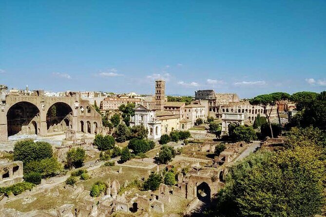 Ultimate Colosseum Small Group Tour - Small Group Size: The Real Value Isn’t Just Comfort