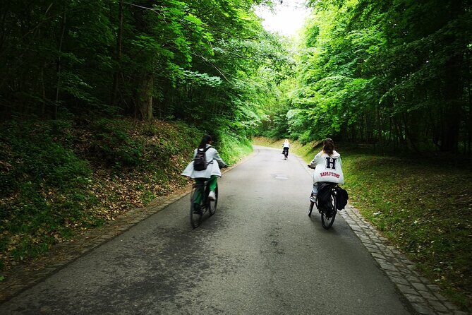 Versailles Full-Day Electric Bike Tour : Market, Picnic & Palace - Marnes-la-Coquette and the forest ride: the Versailles day that feels like escape
