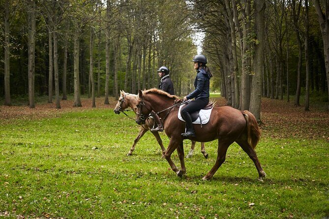 Versailles Private Tour : Horse-riding, Gastronomy & the Palace - Michelin-Star Lunch at Alain Ducasse: A Reset Between Gardens and the Palace